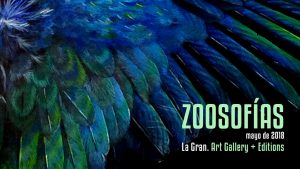 Zoosofias paloma pájaro - mayo 2018